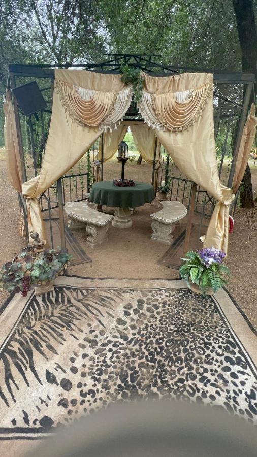 Апартаменты The Oasis Реддинг Экстерьер фото